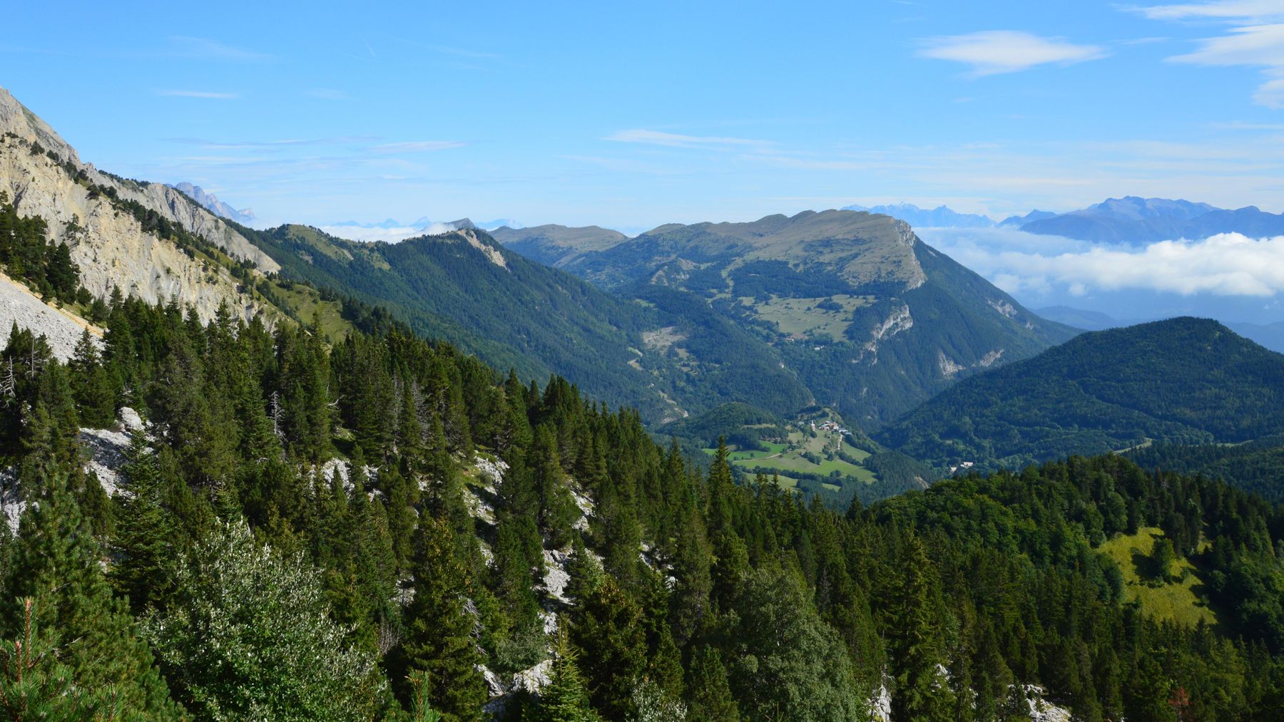 Bergpanorama über dem Tal, Startseite der Pension Musterhof (Beispielbild)